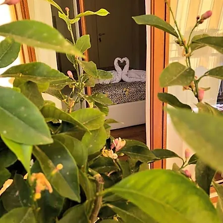 La Rada Bed and Breakfast 4*