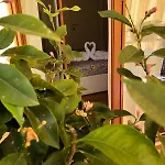 La Rada Bed and breakfast
