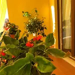 Bed and breakfast La Rada